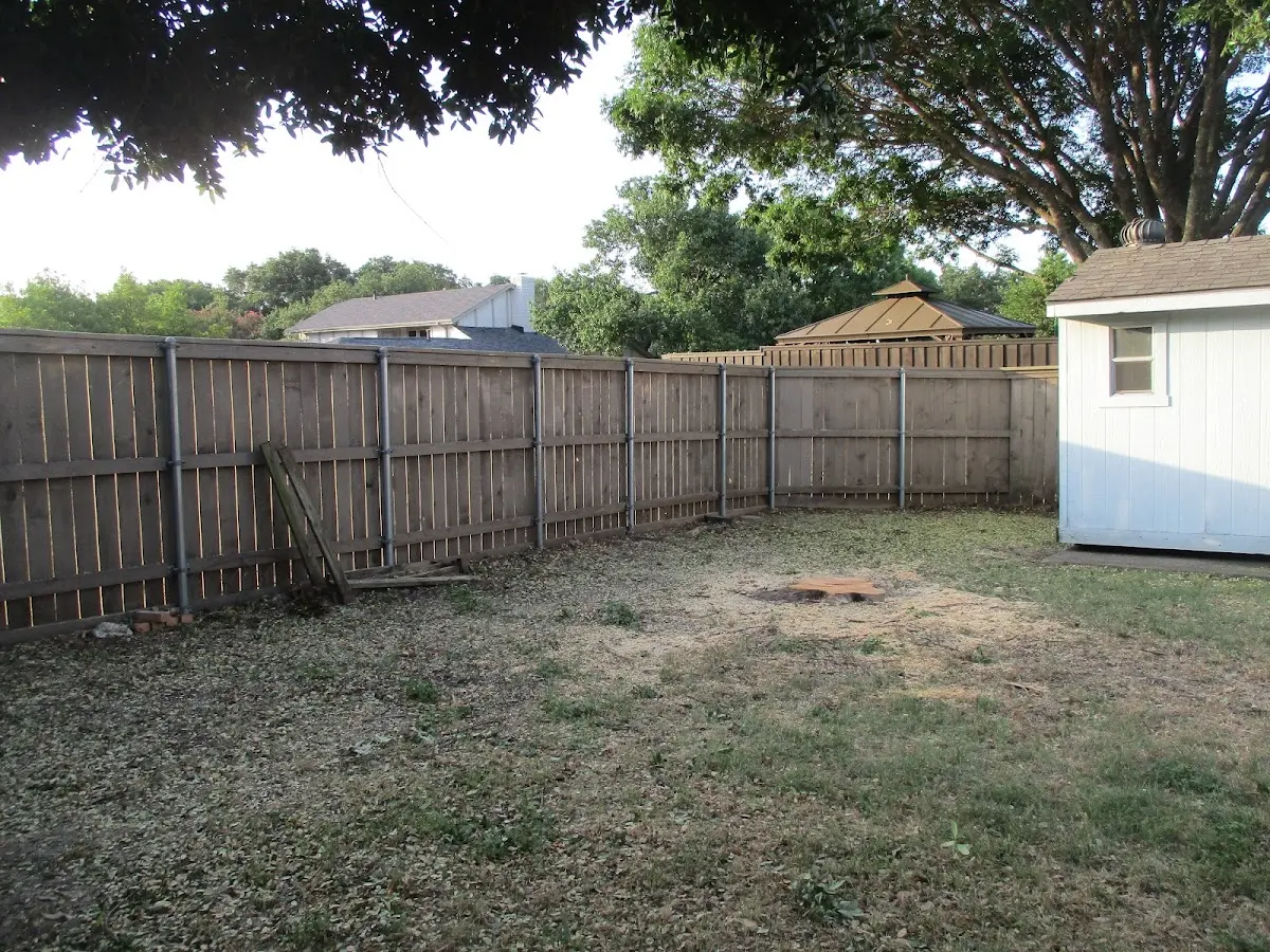 Cleared yard after professional tree removal in Osceola